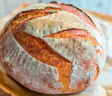 Hogaza GARBANZO 