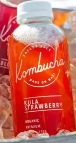 KOMBUCHA Frutos Rojos