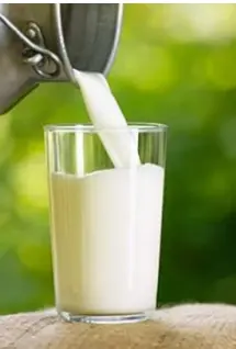 VASO LECHE VACA ENTERA 