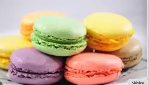 [08020080] Macarons SALTED CARAMEL 
