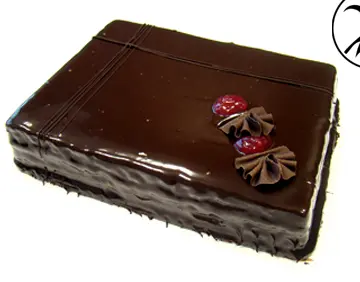 [08020019] SACHER 