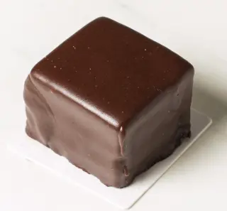 [08020119] SACHER Individual 